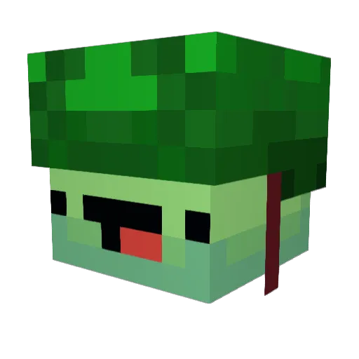 margiu Minecraft avatar head, 3D render