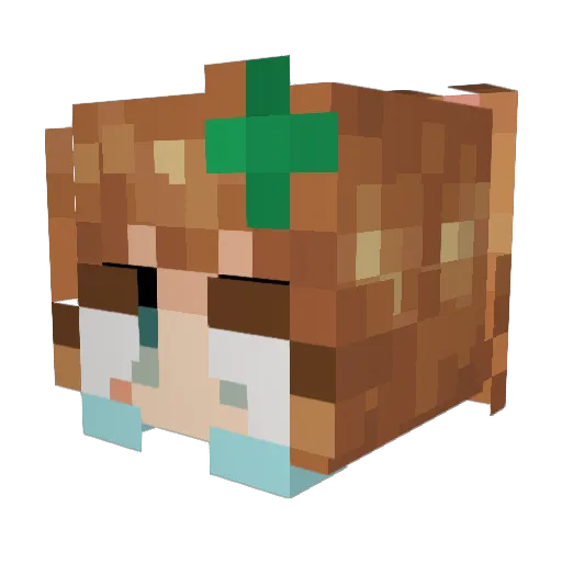 mari0_oo Minecraft avatar head, 3D render