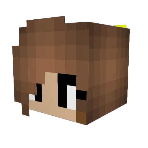 mari900 Minecraft avatar head, 3D render