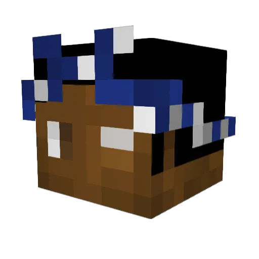 mariachili Minecraft avatar head, 3D render
