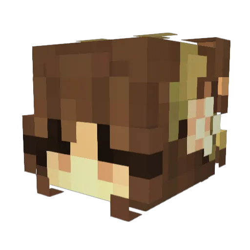 marian1095 Minecraft avatar head, 3D render
