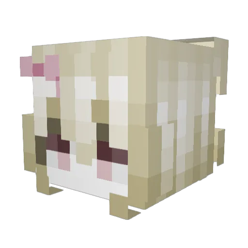 mariasbubble Minecraft avatar head, 3D render
