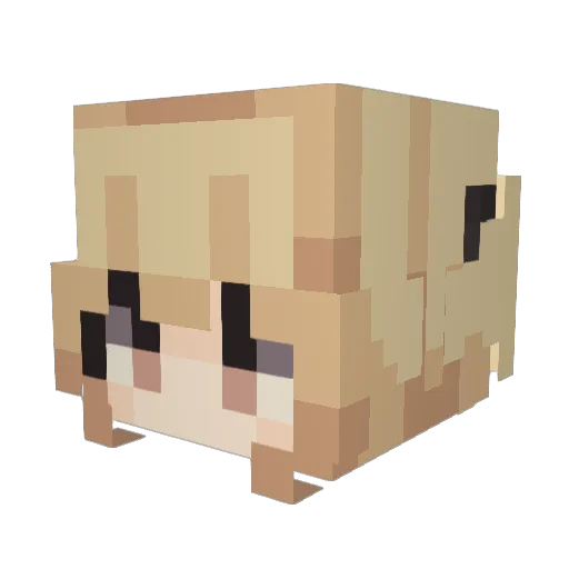 marigolddd Minecraft avatar head, 3D render