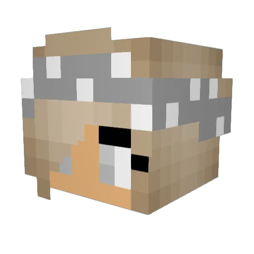 mariinna Minecraft avatar head, 3D render