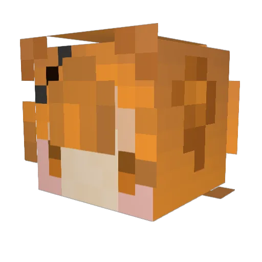 marimo_rk Minecraft avatar head, 3D render