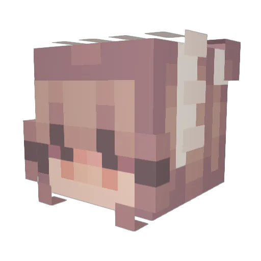 marinarasauce2 Minecraft avatar head, 3D render