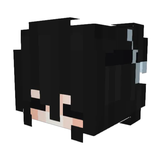 marine1121 Minecraft avatar head, 3D render