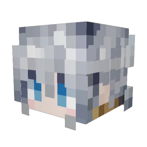 marine2803 Minecraft avatar head, 3D render