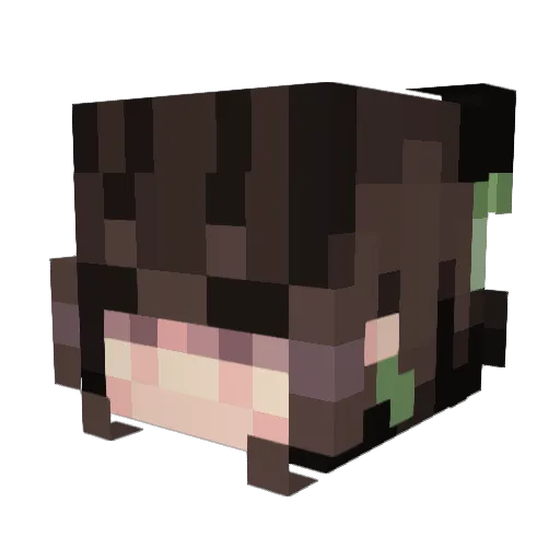 marinnaj Minecraft avatar head, 3D render