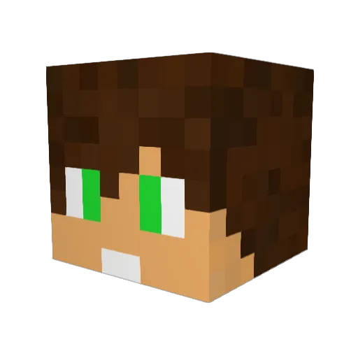 mariosis2 Minecraft avatar head, 3D render