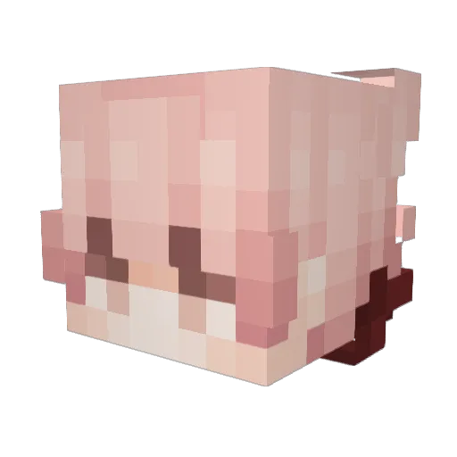 marioxeli Minecraft avatar head, 3D render
