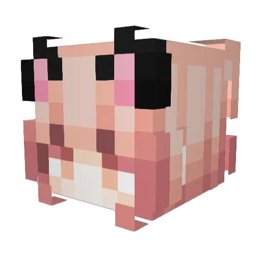 marisolguo Minecraft avatar head, 3D render