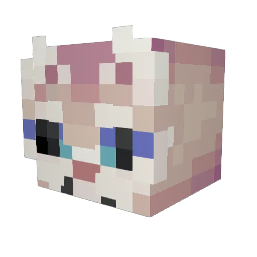 mark_69 Minecraft avatar head, 3D render
