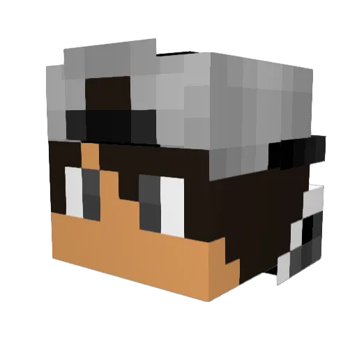 marki5000 Minecraft avatar head, 3D render