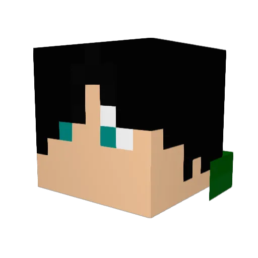 markmasterson Minecraft avatar head, 3D render