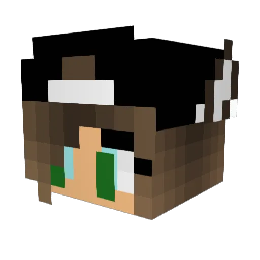 marlins14 Minecraft avatar head, 3D render