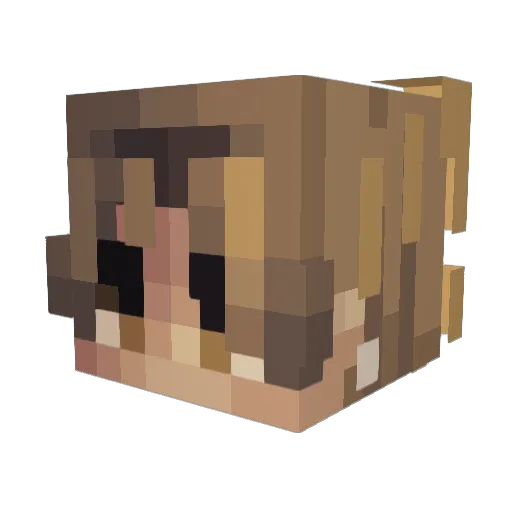 marooa Minecraft avatar head, 3D render