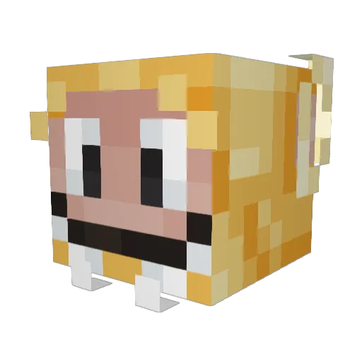 marrcin Minecraft avatar head, 3D render