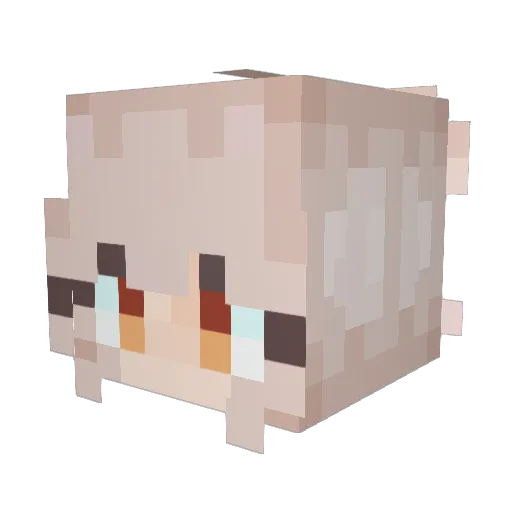 marshmallow9570 Minecraft avatar head, 3D render