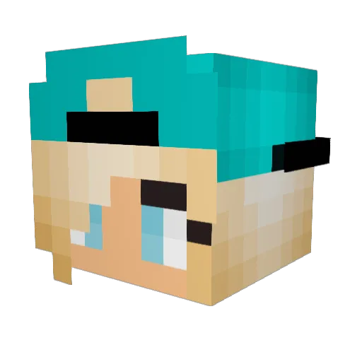 marshmellow_pug Minecraft avatar head, 3D render