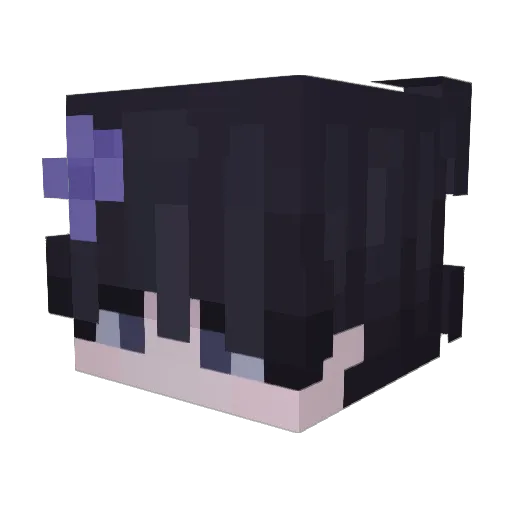 marshulls Minecraft avatar head, 3D render