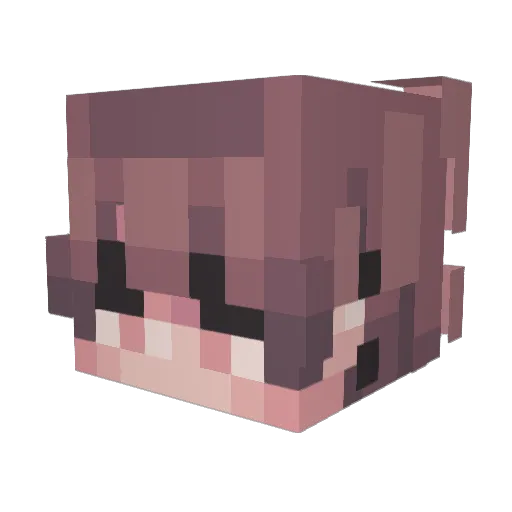 marsjupiter_ Minecraft avatar head, 3D render