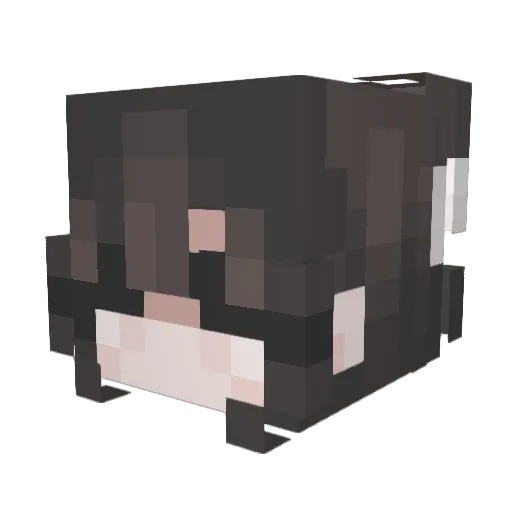 marsrover96 Minecraft avatar head, 3D render