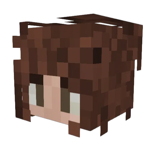 marszupial Minecraft avatar head, 3D render