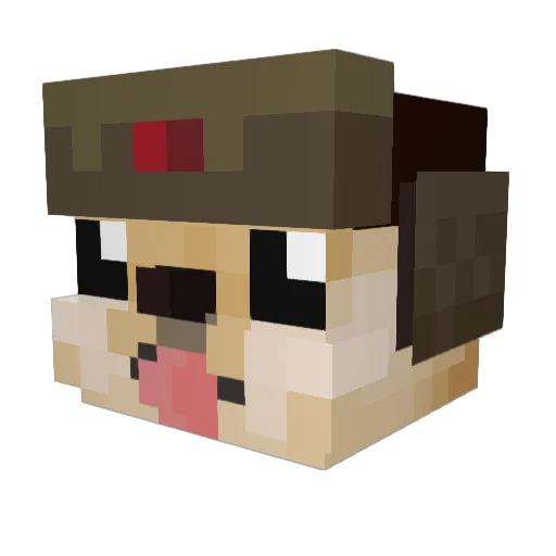 mart12pro Minecraft avatar head, 3D render