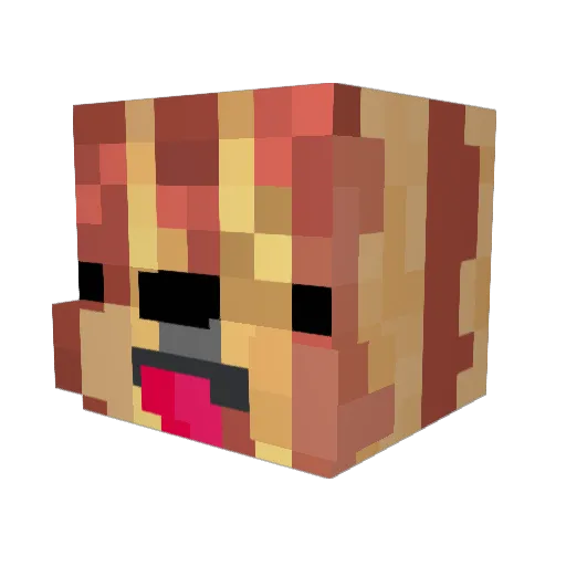 martdog2000 Minecraft avatar head, 3D render