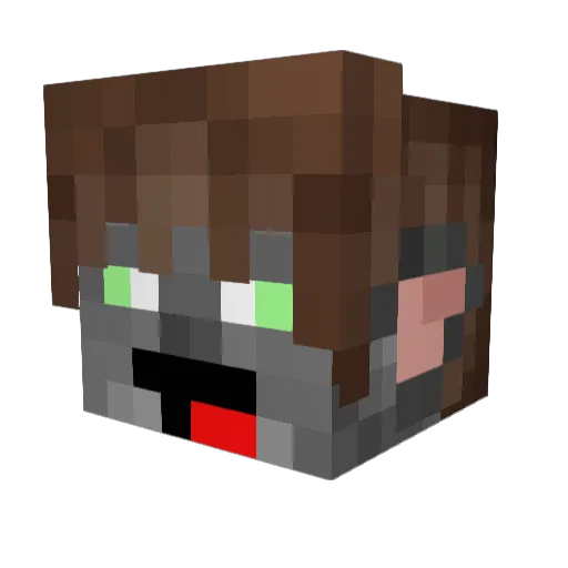 martieparty1 Minecraft avatar head, 3D render
