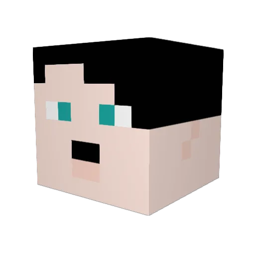 martin_0252 Minecraft avatar head, 3D render
