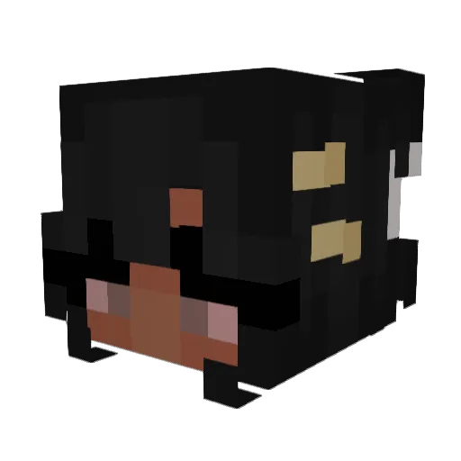 marty_owo Minecraft avatar head, 3D render