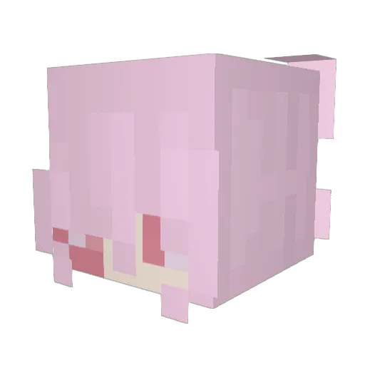 martyrvaleri Minecraft avatar head, 3D render