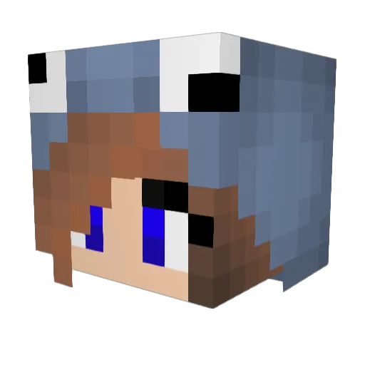 martytomatoes Minecraft avatar head, 3D render