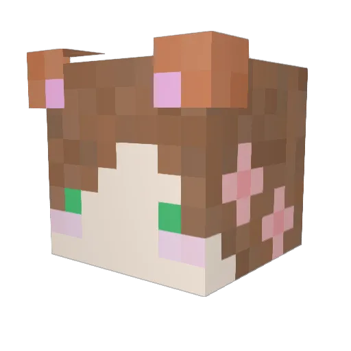 maru53 Minecraft avatar head, 3D render