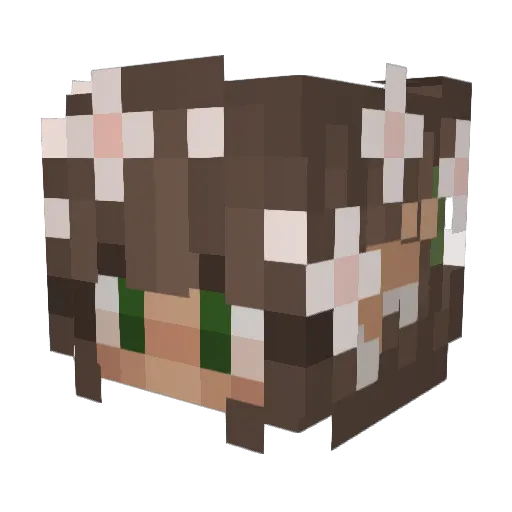 mary3eth Minecraft avatar head, 3D render