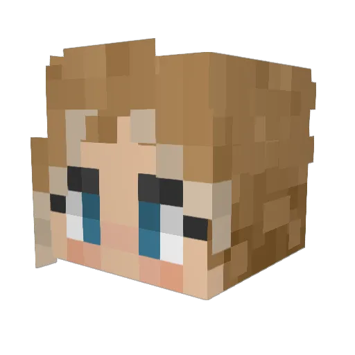 mary_bean Minecraft avatar head, 3D render