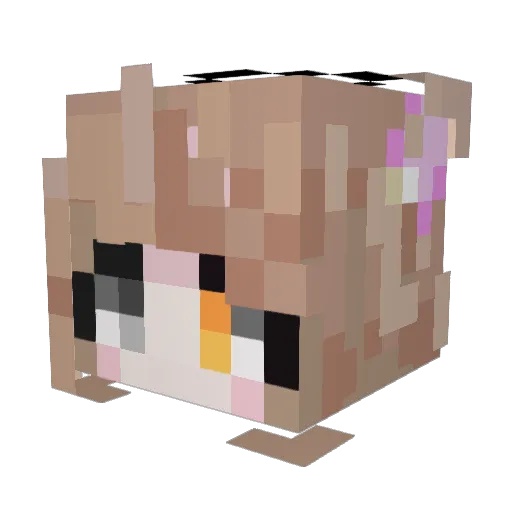 mary_drac Minecraft avatar head, 3D render