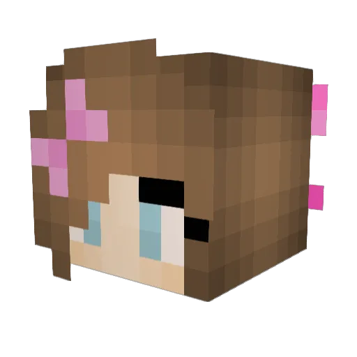 mary_fran Minecraft avatar head, 3D render