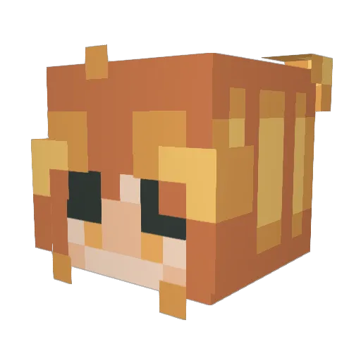 marz_barz Minecraft avatar head, 3D render