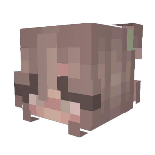 masafe Minecraft avatar head, 3D render