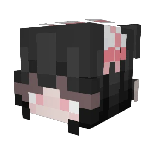 mase_duck Minecraft avatar head, 3D render