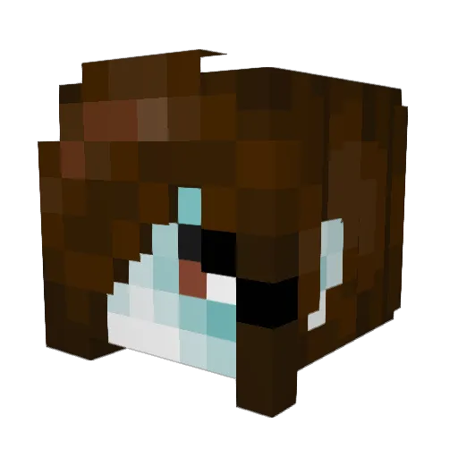mashups Minecraft avatar head, 3D render