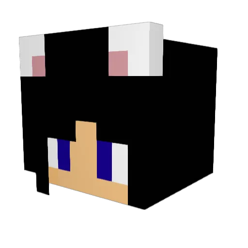 mason_moo Minecraft avatar head, 3D render