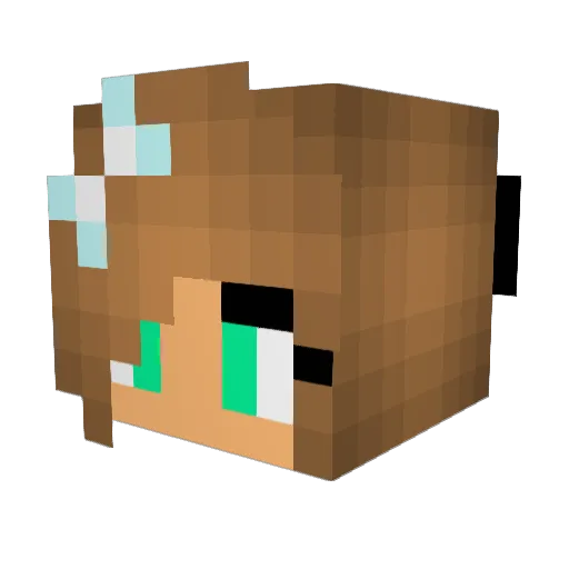 masondrop13 Minecraft avatar head, 3D render