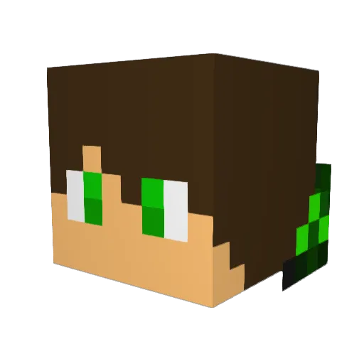 masontheboss99 Minecraft avatar head, 3D render