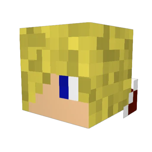 master_cam_13 Minecraft avatar head, 3D render