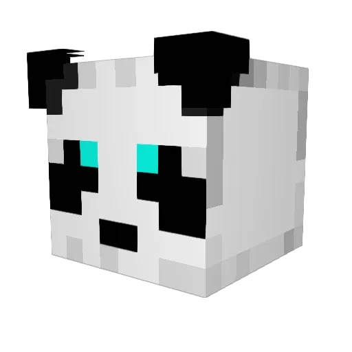 master_sean02 Minecraft avatar head, 3D render