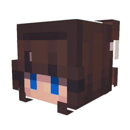 masterbear12 Minecraft avatar head, 3D render